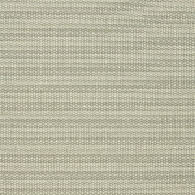 Agora LISO Apio 160 cm